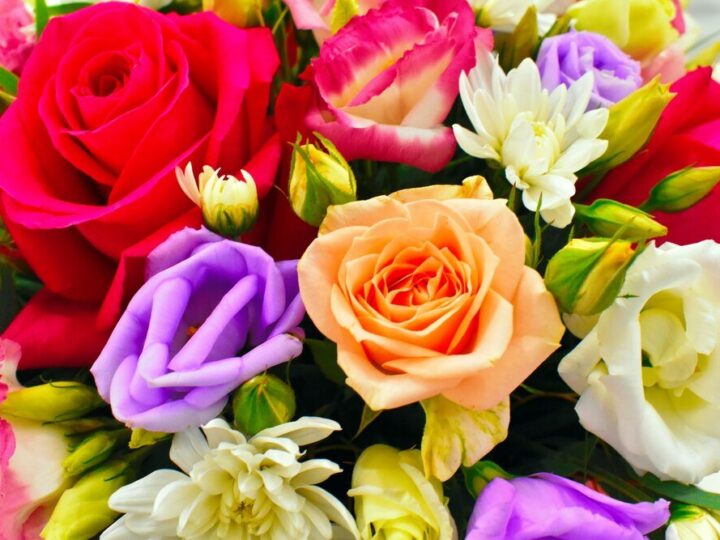 Co oznaczają kolory róż – symbolika i znaczenie kwiatów