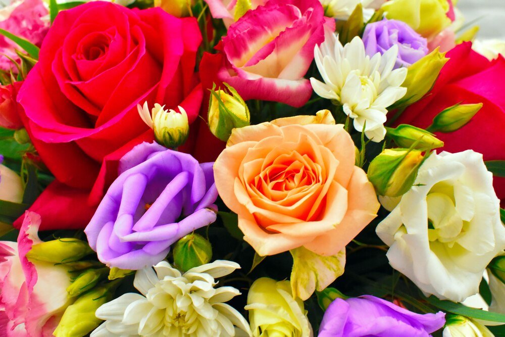 Co oznaczają kolory róż – symbolika i znaczenie kwiatów