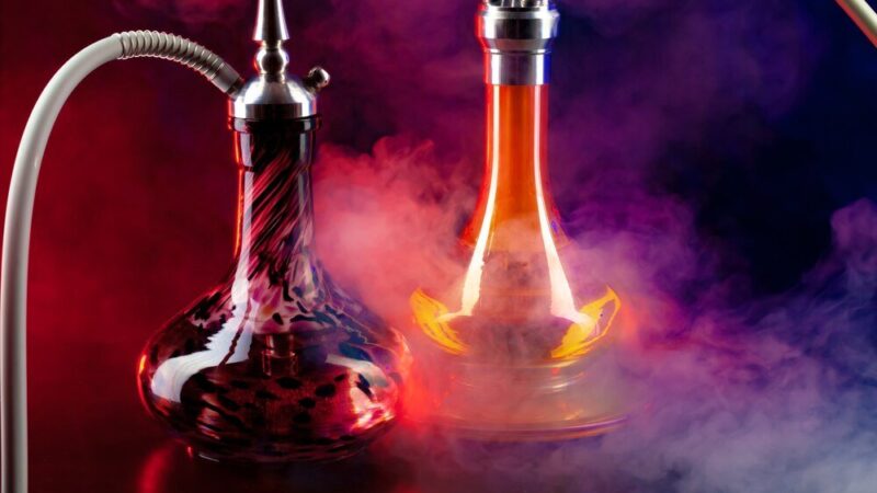 Co to szisza – co warto o niej wiedzieć?