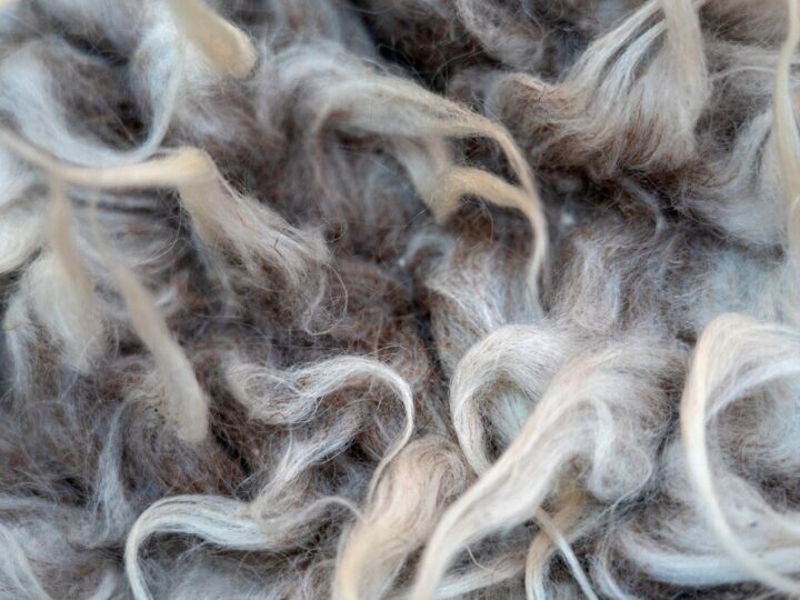 Tkanina z czystej wełny – krzyżówka i rozwiązanie